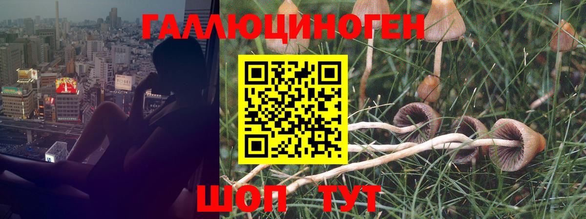Галлюциногенные грибы мухоморы Сорочинск