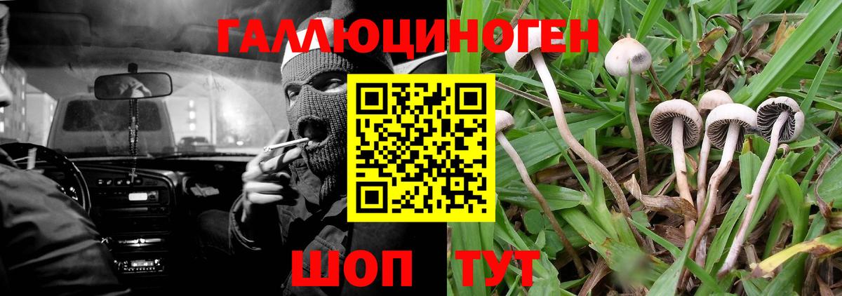 Галлюциногенные грибы GOLDEN TEACHER  Галлюциногенные грибы ЛСД  хочу   Вход с VPN  Сорочинск 