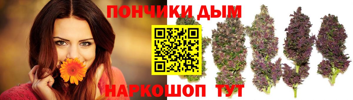 Бошки марихуана сатива Сорочинск